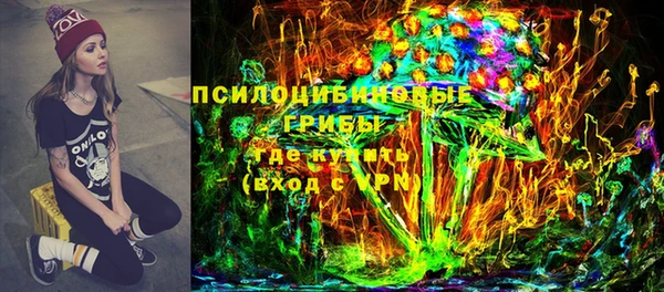 мдпв Белокуриха