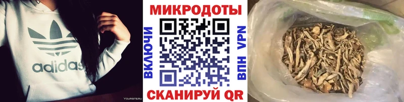 Галлюциногенные грибы Psilocybine cubensis  ссылка на мегу сайт  Кириллов 