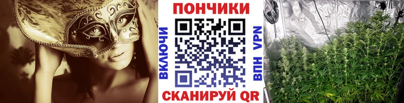 Бошки марихуана ГИДРОПОН  Кириллов 